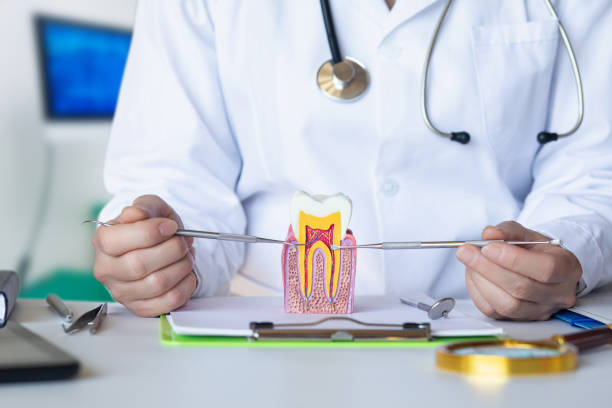 Best Emergency Dental Care for Sports Injuries in Woodstock, AL